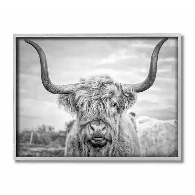 Framed Art-Kirklands Home Black and White Framed Highland Cow Photograph