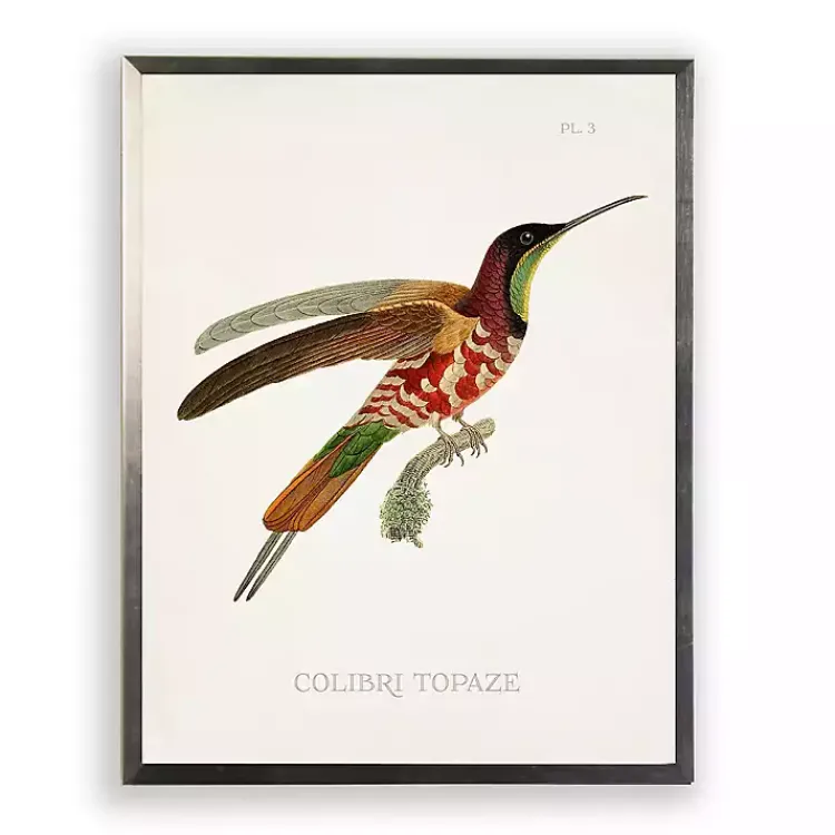 Framed Art-Kirklands Home Hummingbird I Framed Art Print Multi