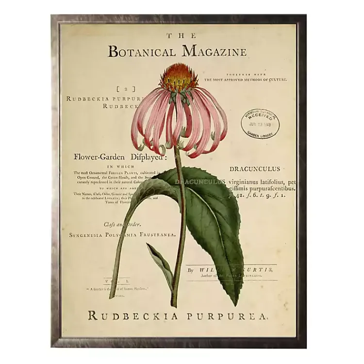 Framed Art-Kirklands Home Coneflower Botanical Magazine Framed Art Print Multi