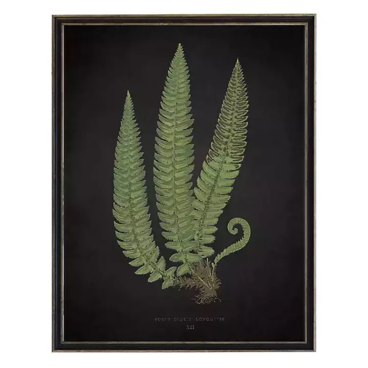 Framed Art-Kirklands Home Black Fern I Framed Art Print