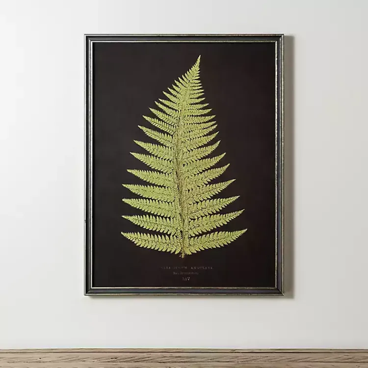 Framed Art-Kirklands Home Black Fern IV Framed Art Print