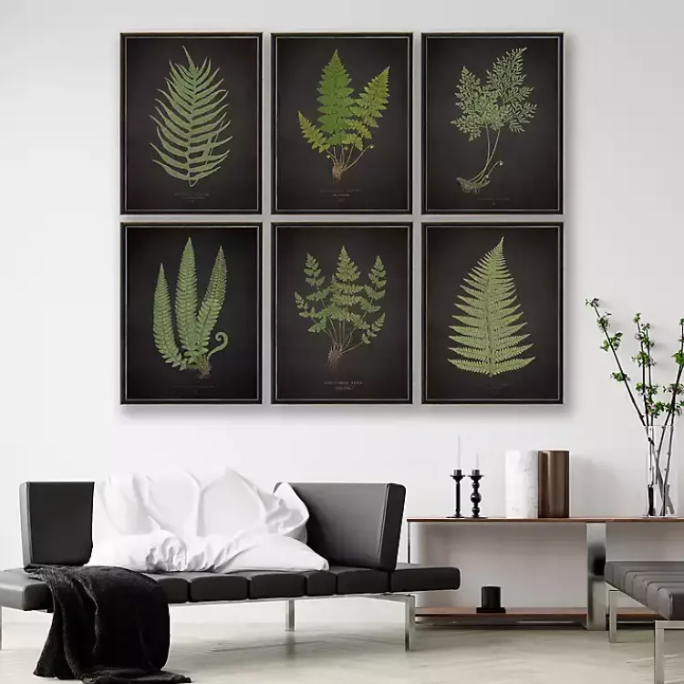 Framed Art-Kirklands Home Black Fern IV Framed Art Print