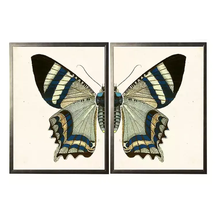Framed Art-Kirklands Home Diptych Butterfly Framed Art Print, Set of 2