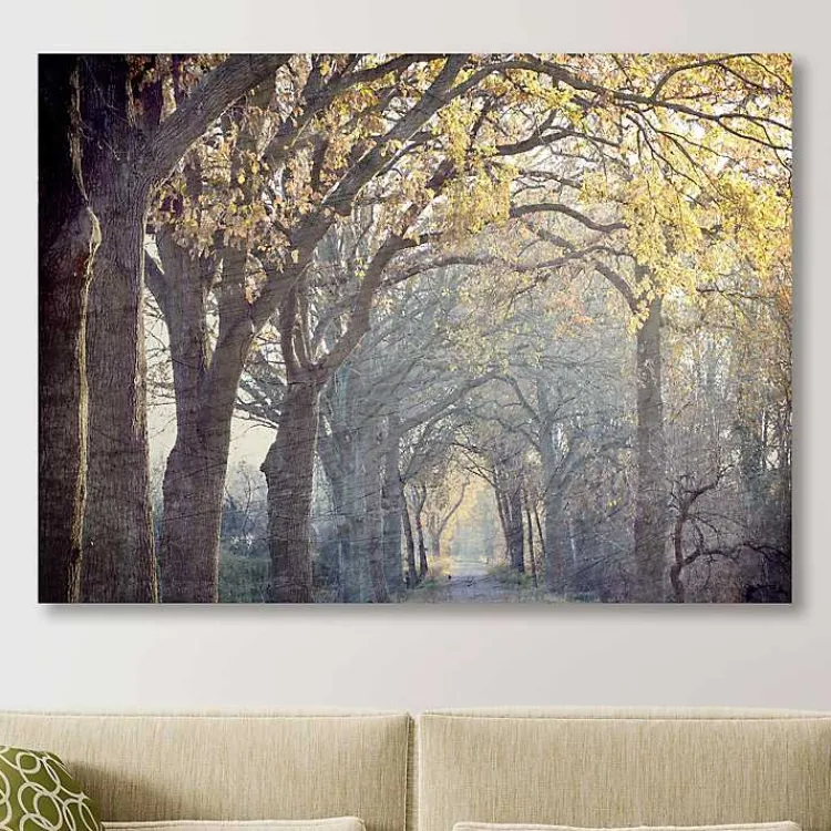 Canvas Art-Kirklands Home Avenue Of Trees Canvas Art Print