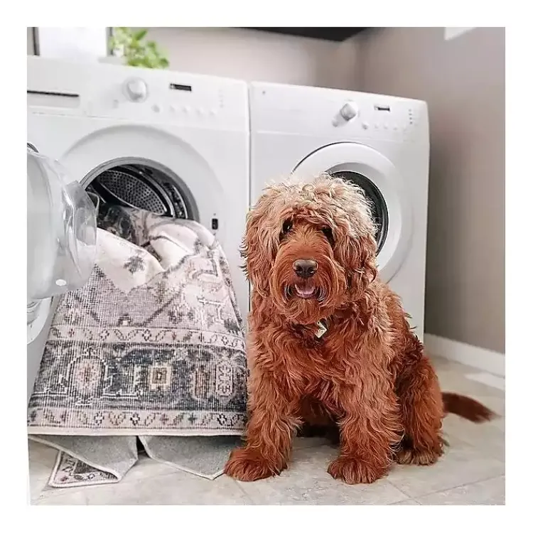 Accent Rugs-Kirklands Home Black and Ivory Moroccan Washable Runner