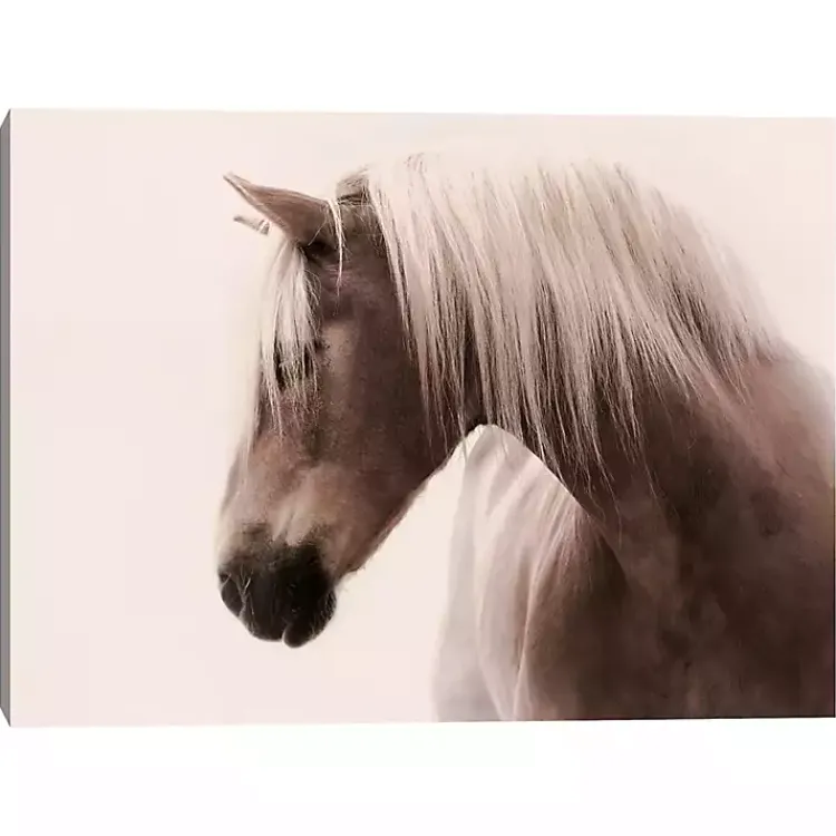 Canvas Art-Kirklands Home Magnificent In Sepia Canvas Art Print, 40x30 in.