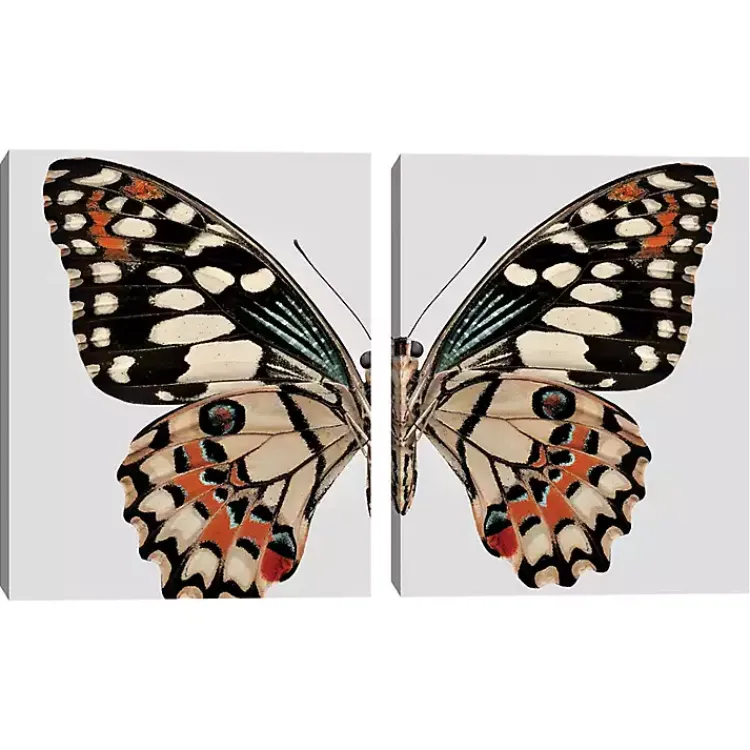 Canvas Art-Kirklands Home Monarch Butterfly I & II Canvas Prints, Set of 2
