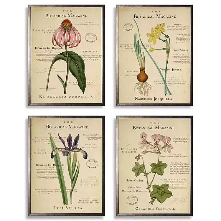 Framed Art-Kirklands Home Flower Magazine Framed Art Prints, Set of 4
