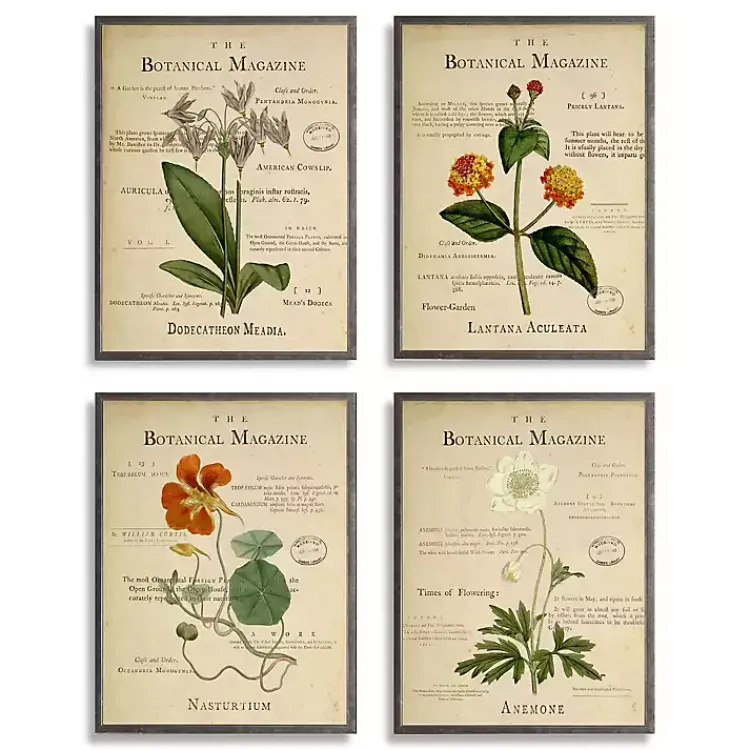 Framed Art-Kirklands Home Flower Illustrations Framed Art Prints, Set of 4
