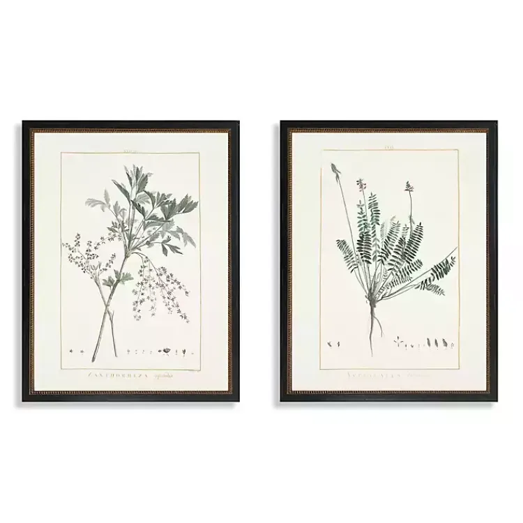 Framed Art-Kirklands Home Greenery I Framed Art Prints, Set of 2 Ivory