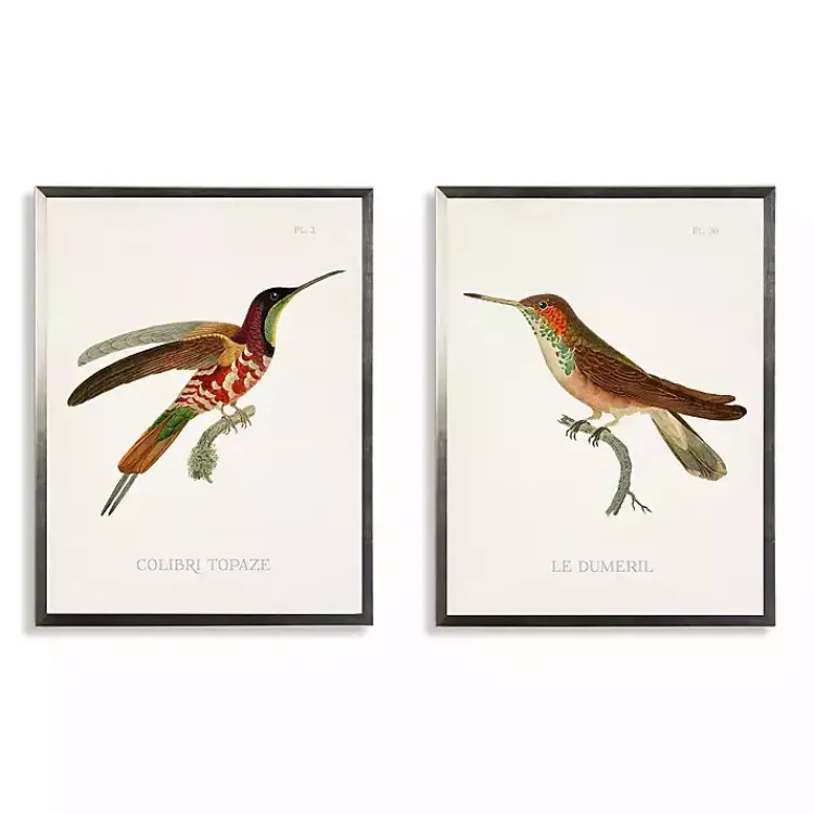 Framed Art-Kirklands Home Hummingbirds I Framed Art Prints, Set of 2 Multi