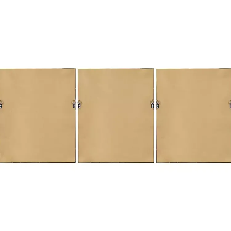 Canvas Art-Kirklands Home Cosmic Curl Geometric 3-pc. Grayscale Wall Art