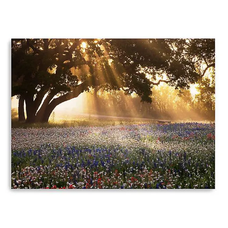 Canvas Art-Kirklands Home Morning Meadow Giclee Canvas Art Print, 40x30 in. Yellow