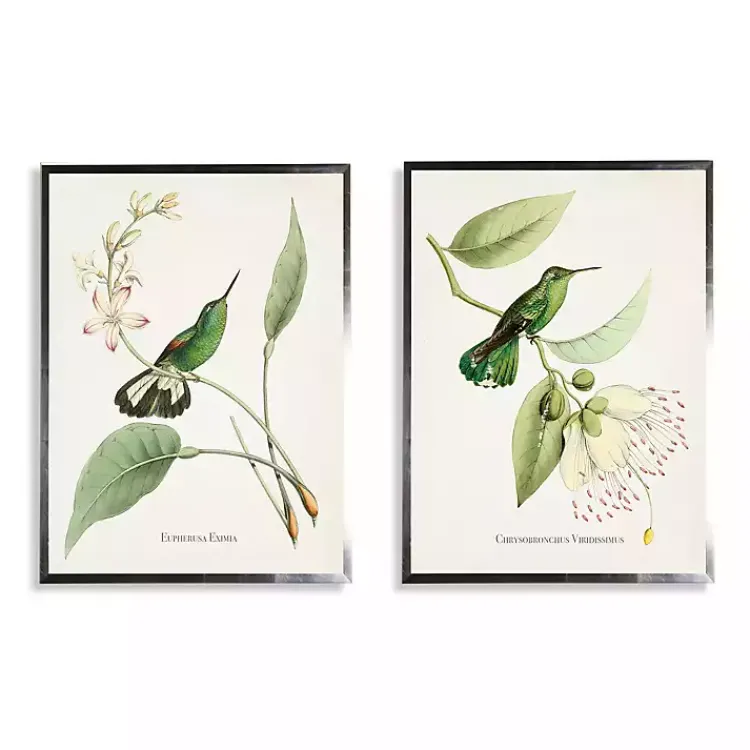 Framed Art-Kirklands Home Hummingbirds on Flowers 2-pc. Framed Art Print Set