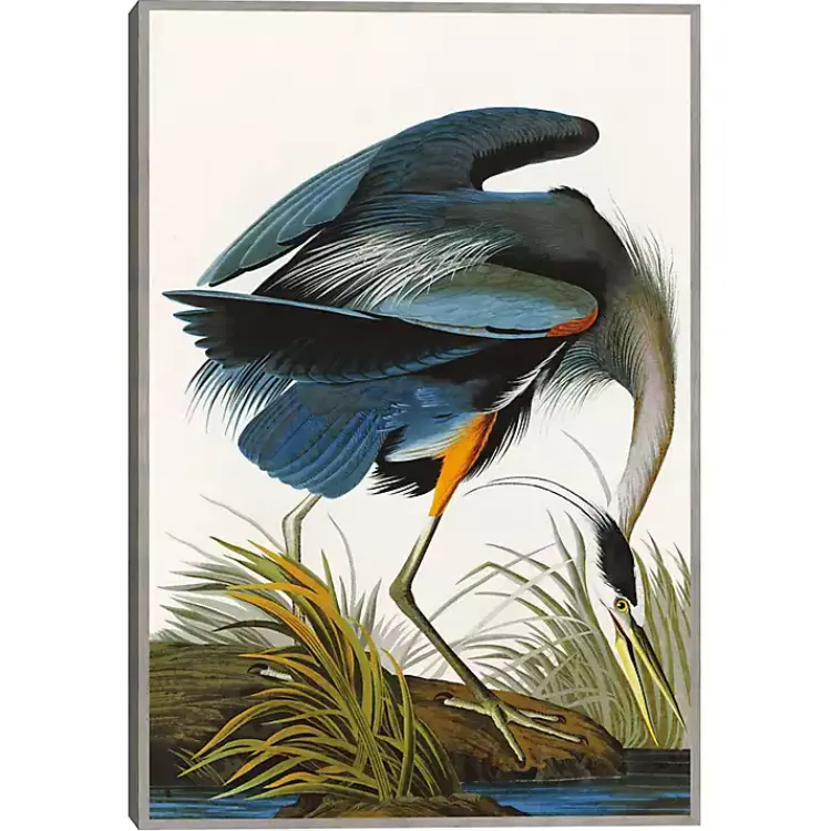 Canvas Art-Kirklands Home Louisiana Heron Framed Canvas Art Print Multi