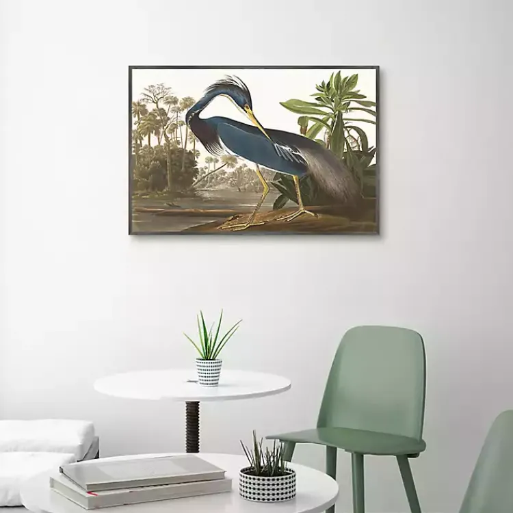 Canvas Art-Kirklands Home Louisiana Heron Framed Canvas Art Print