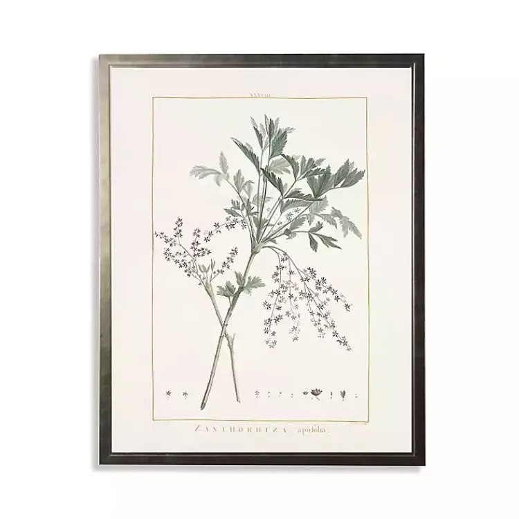 Framed Art-Kirklands Home Greenery Botanical IV Pewter Framed Art Print Ivory