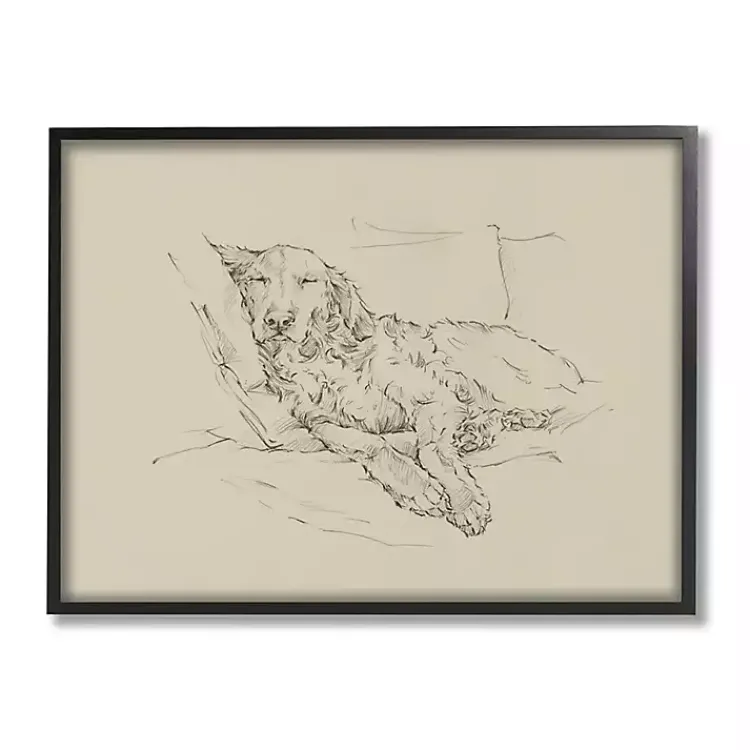 Canvas Art-Kirklands Home Fluffy Retriever Napping Dog Framed Canvas Print Tan