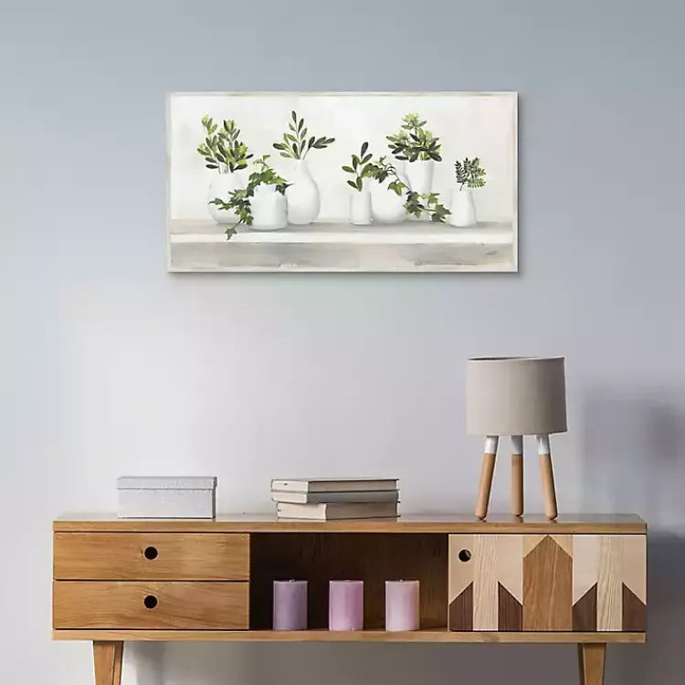 Framed Art-Kirklands Home Plant Shelf Life Framed Canvas Art Print