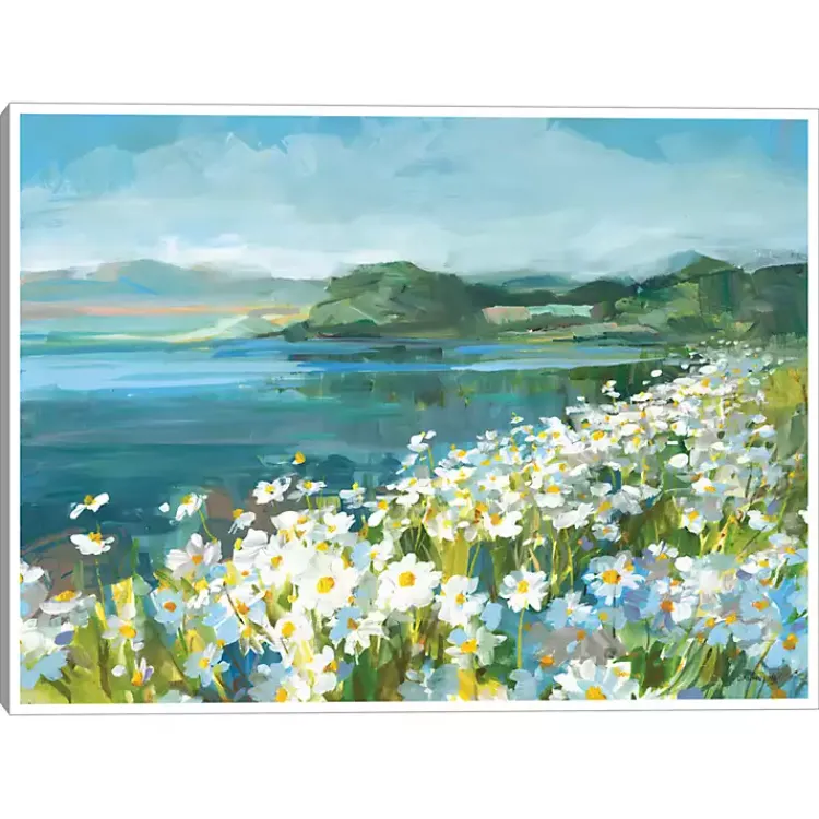 Canvas Art-Kirklands Home Wild Daisy Bay Framed Canvas Art Print