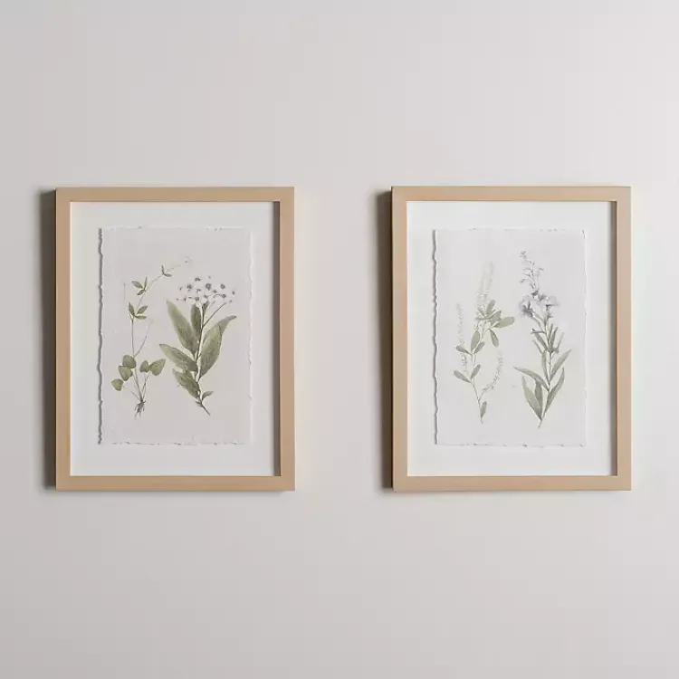 Framed Art-Kirklands Home Delicate Botanical Framed Art Prints, Set of 2 White