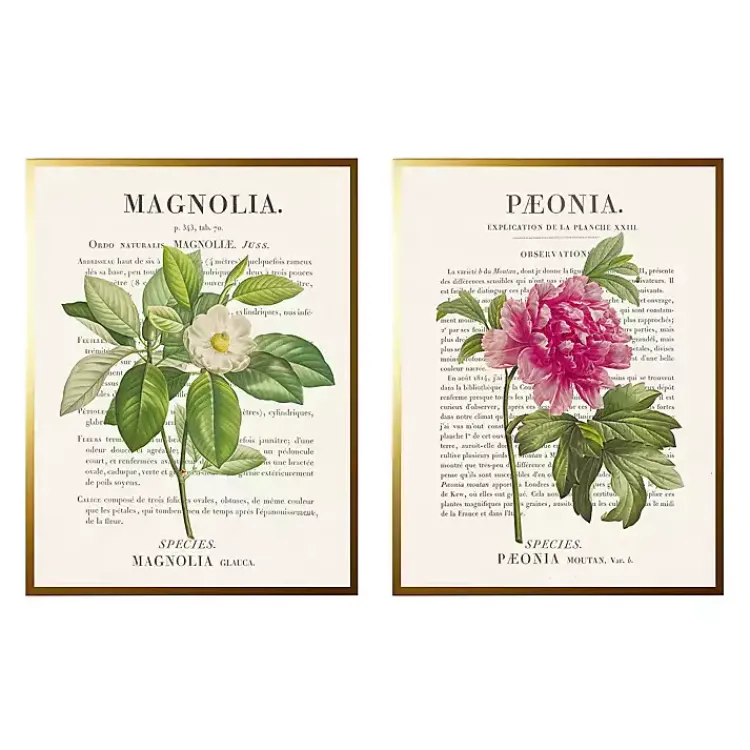 Framed Art-Kirklands Home Vintage Floral Diagram Framed Art Prints, Set of 2