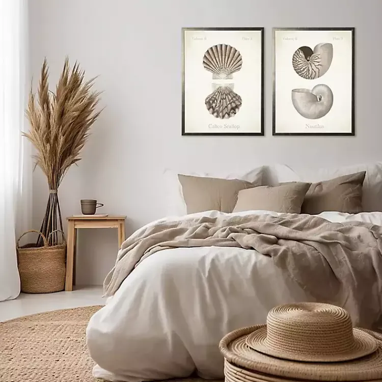 Framed Art-Kirklands Home Neutral Seashells Framed Art Prints, Set of 2