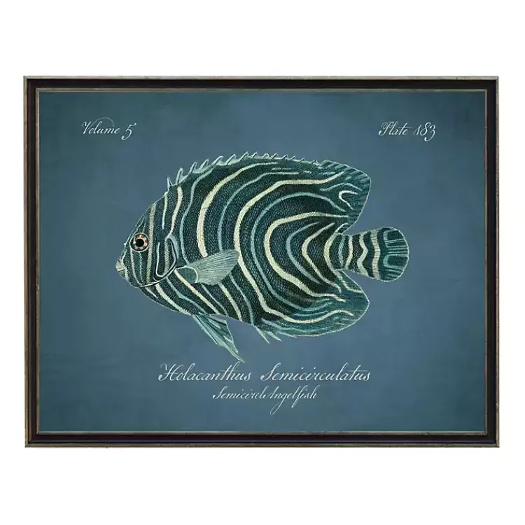 Framed Art-Kirklands Home Semicircle Angelfish Framed Wall Art Blue