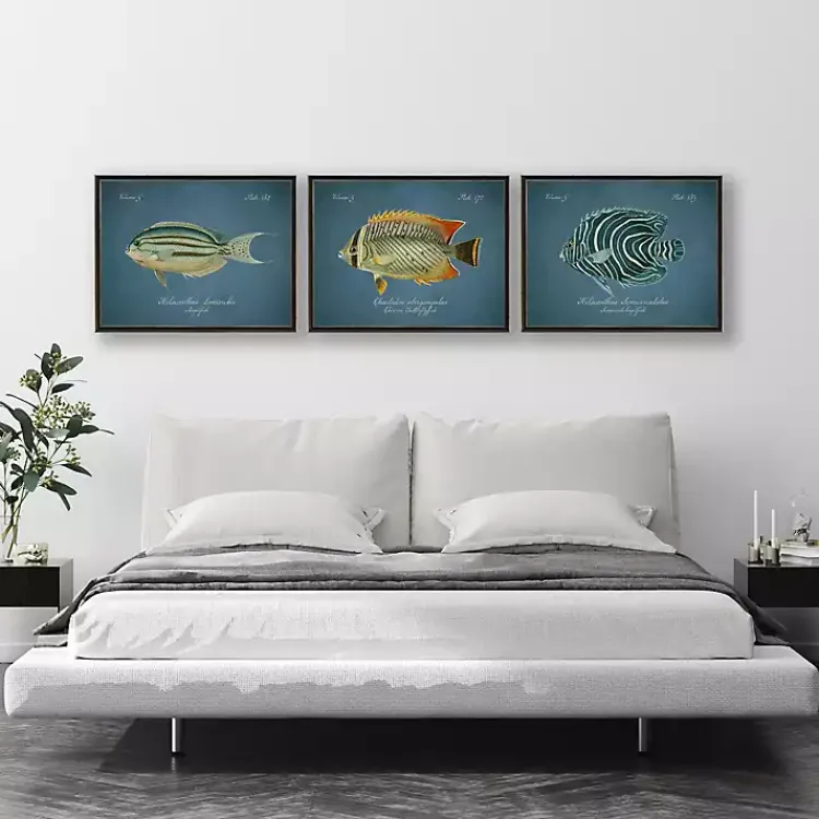 Framed Art-Kirklands Home Semicircle Angelfish Framed Wall Art Blue