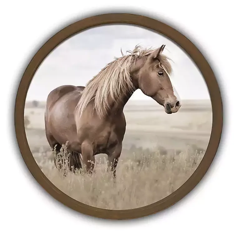 Framed Art-Kirklands Home Horse Pasture Round Framed Art Print