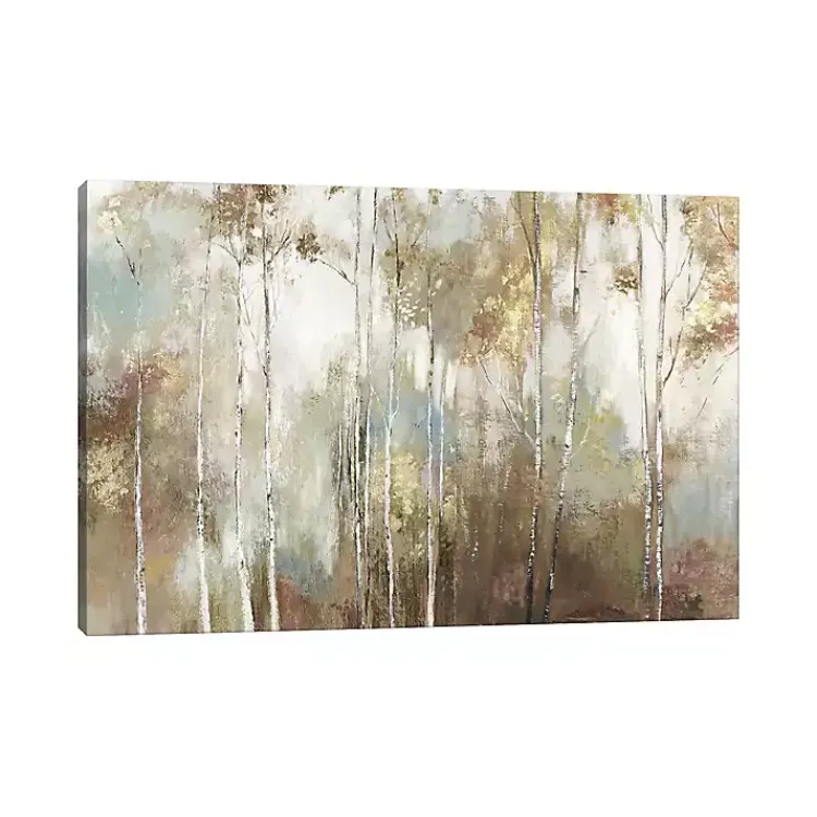 Canvas Art-Kirklands Home Fine Birch III Canvas Art Print