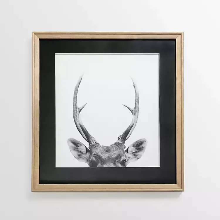 Framed Art-Kirklands Home Deer Antlers Framed Art Print
