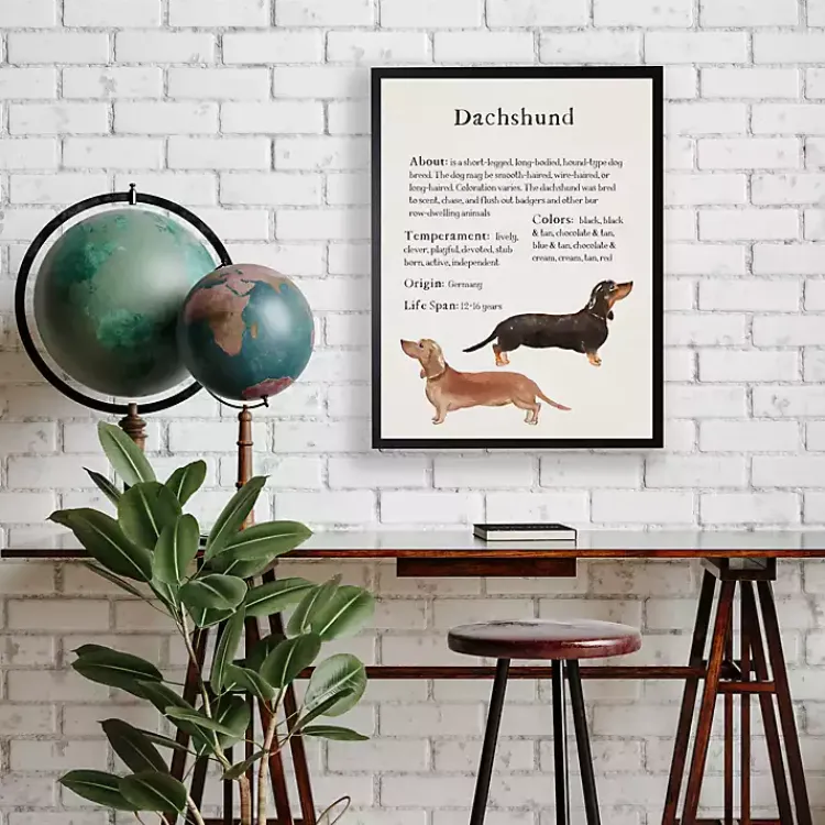 Wall Quotes & Signs-Kirklands Home Dachshund Facts Framed Wall Plaque