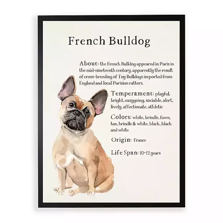 Wall Quotes & Signs-Kirklands Home French Bulldog Boxer Facts Framed Wall Plaque