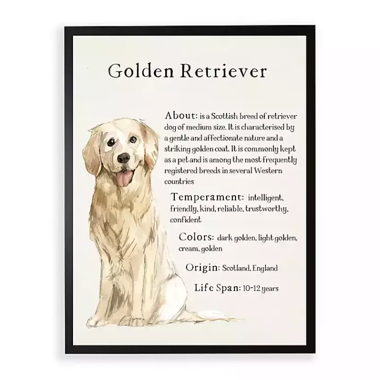 Wall Quotes & Signs-Kirklands Home Golden Retriever Boxer Facts Framed Wall Plaque