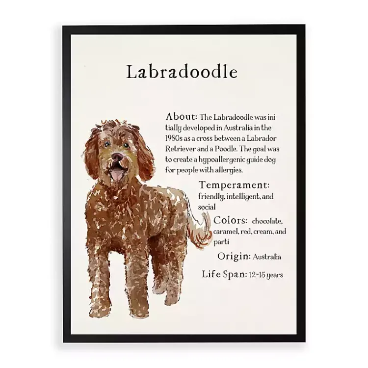 Wall Quotes & Signs-Kirklands Home Labradoodle Facts Framed Wall Plaque