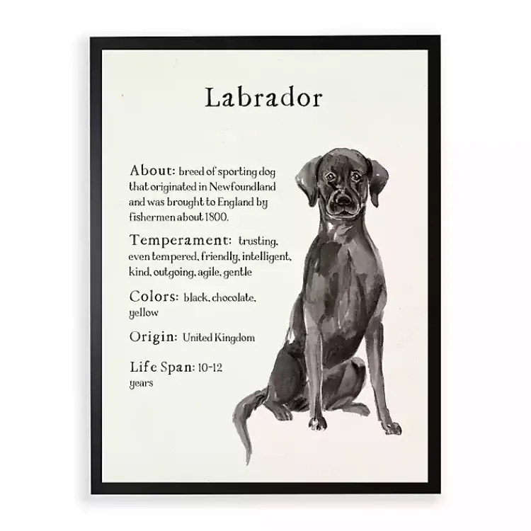 Wall Quotes & Signs-Kirklands Home Black Lab Facts Framed Wall Plaque