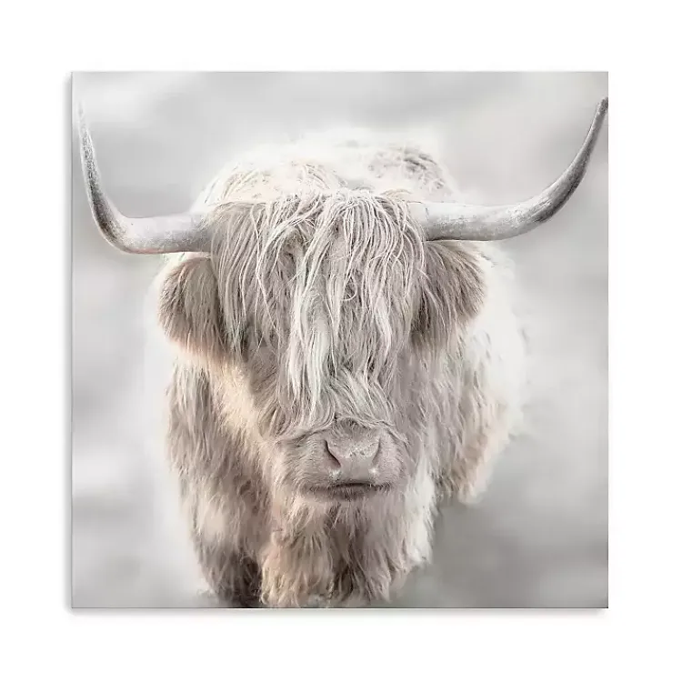 Canvas Art-Kirklands Home Solo Highland Cow Canvas Art Print, 40x40 Gray
