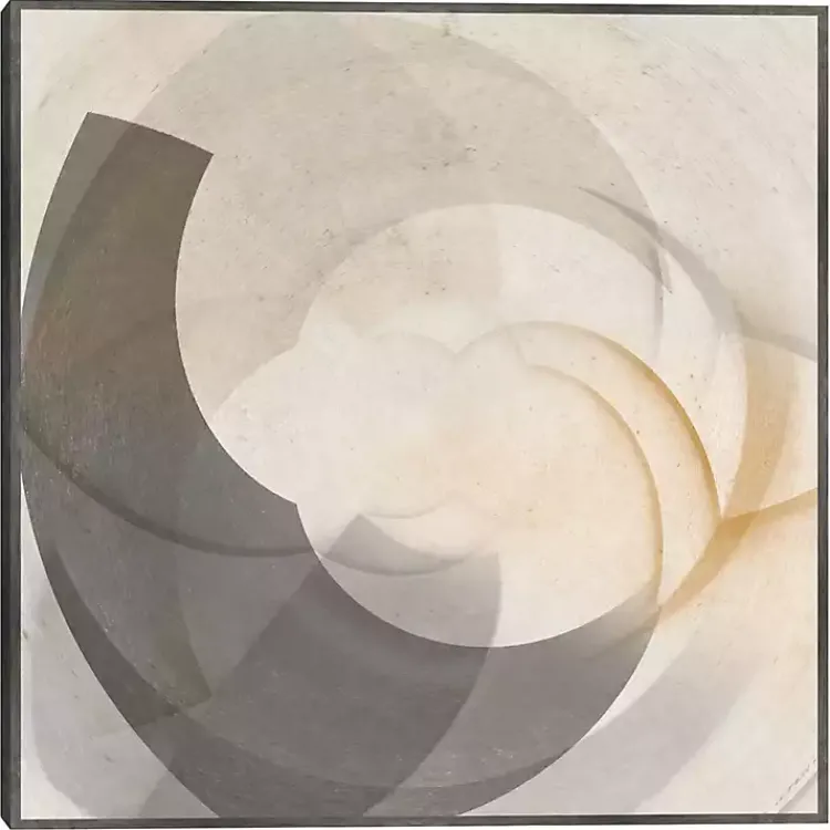 Canvas Art-Kirklands Home Shadow Swoop Framed Canvas Art Print