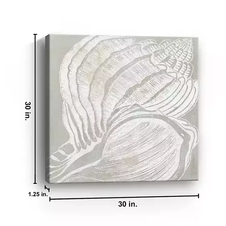 Canvas Art-Kirklands Home Spiral Seashell Close Up Canvas Art Print