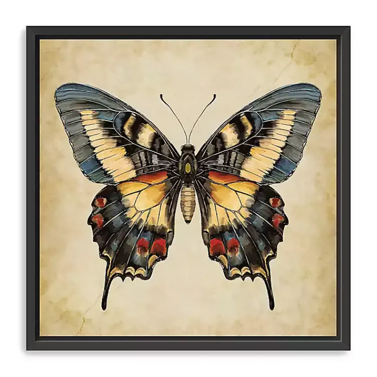 Canvas Art-Kirklands Home Blue Vintage Butterfly Framed Canvas Art Print