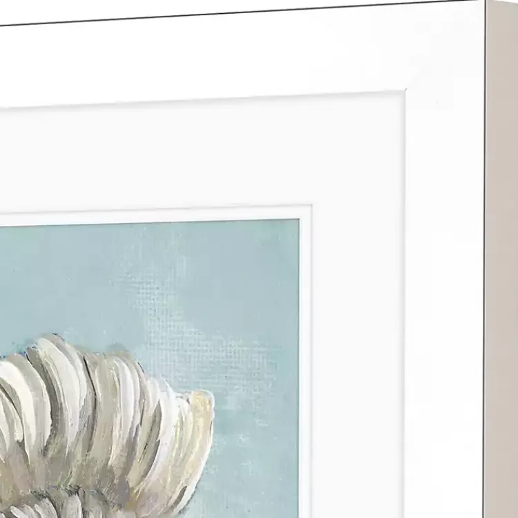 Framed Art-Kirklands Home Ocean Seashells I Framed Art Prints, Set of 2