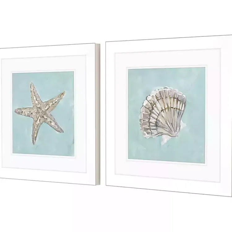 Framed Art-Kirklands Home Ocean Seashells II Framed Art Prints, Set of 2
