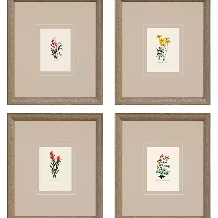 Framed Art-Kirklands Home Western Wildflower Framed Art Prints, Set of