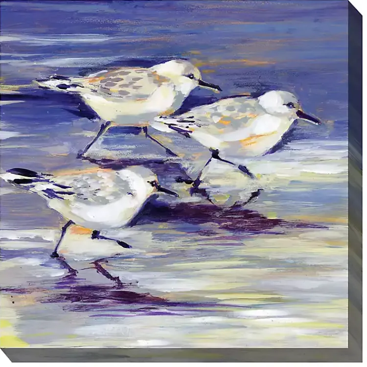 Outdoor Wall Decor-Kirklands Home Sandpipers Outdoor Canvas Art Print