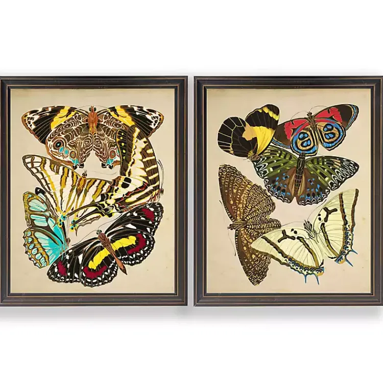 Framed Art-Kirklands Home Vintage Butterflies I Framed Art Prints, Set of 2 Multi