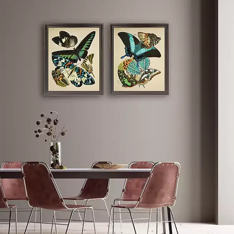 Framed Art-Kirklands Home Vintage Butterflies II Framed Art Prints, Set of 2 Multi
