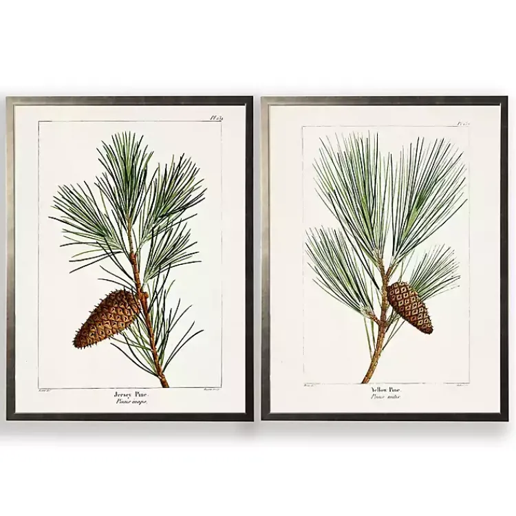 Framed Art-Kirklands Home Vintage Pine Leaves Framed Art Prints, Set of 2
