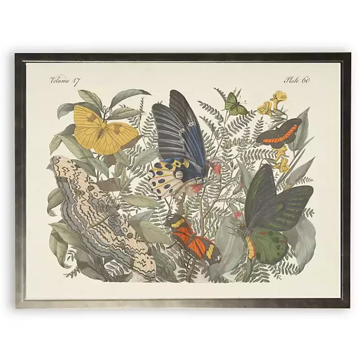 Framed Art-Kirklands Home Vintage Butterfly Bookplate Framed Art Print