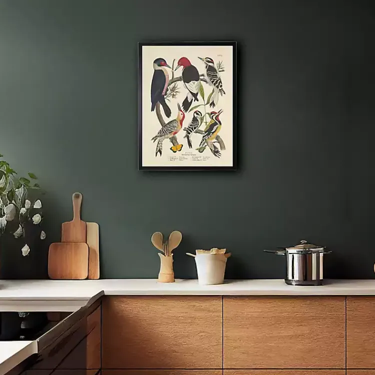 Framed Art-Kirklands Home Vintage Woodpecker Birds Framed Art Print